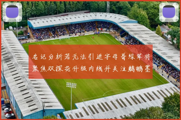 名记分析若无法引进字母哥绿军将聚焦双探花升级内线并关注鹈鹕墨菲