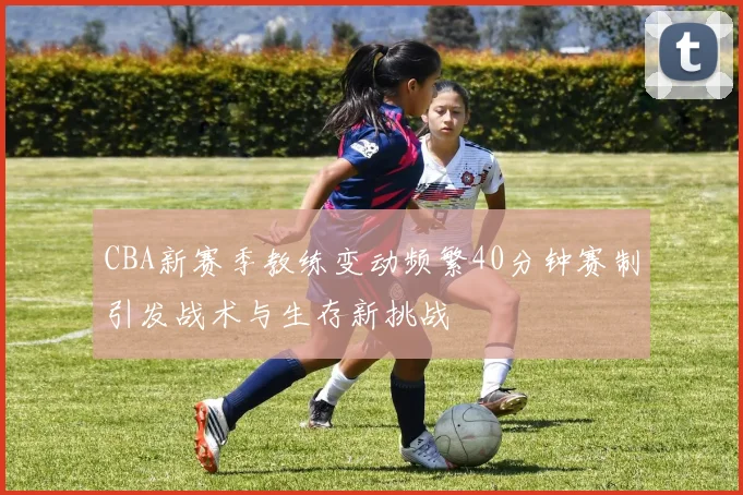 CBA新赛季教练变动频繁40分钟赛制引发战术与生存新挑战