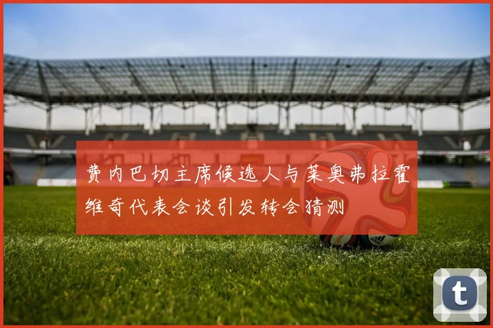 费内巴切主席候选人与莱奥弗拉霍维奇代表会谈引发转会猜测